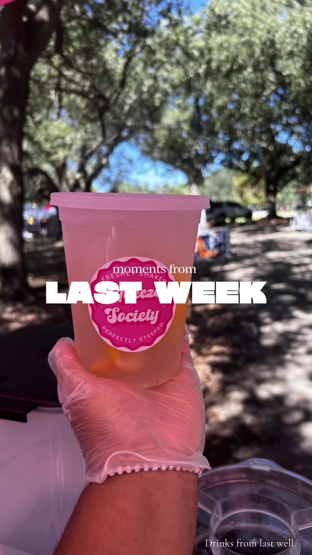 @Imari-squeeze society