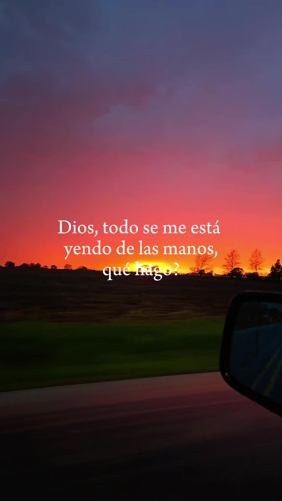 @Bere86🌹