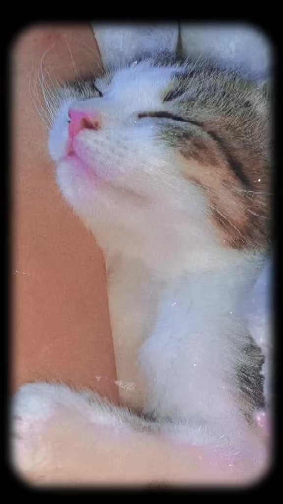 @Minnoş❤💙61