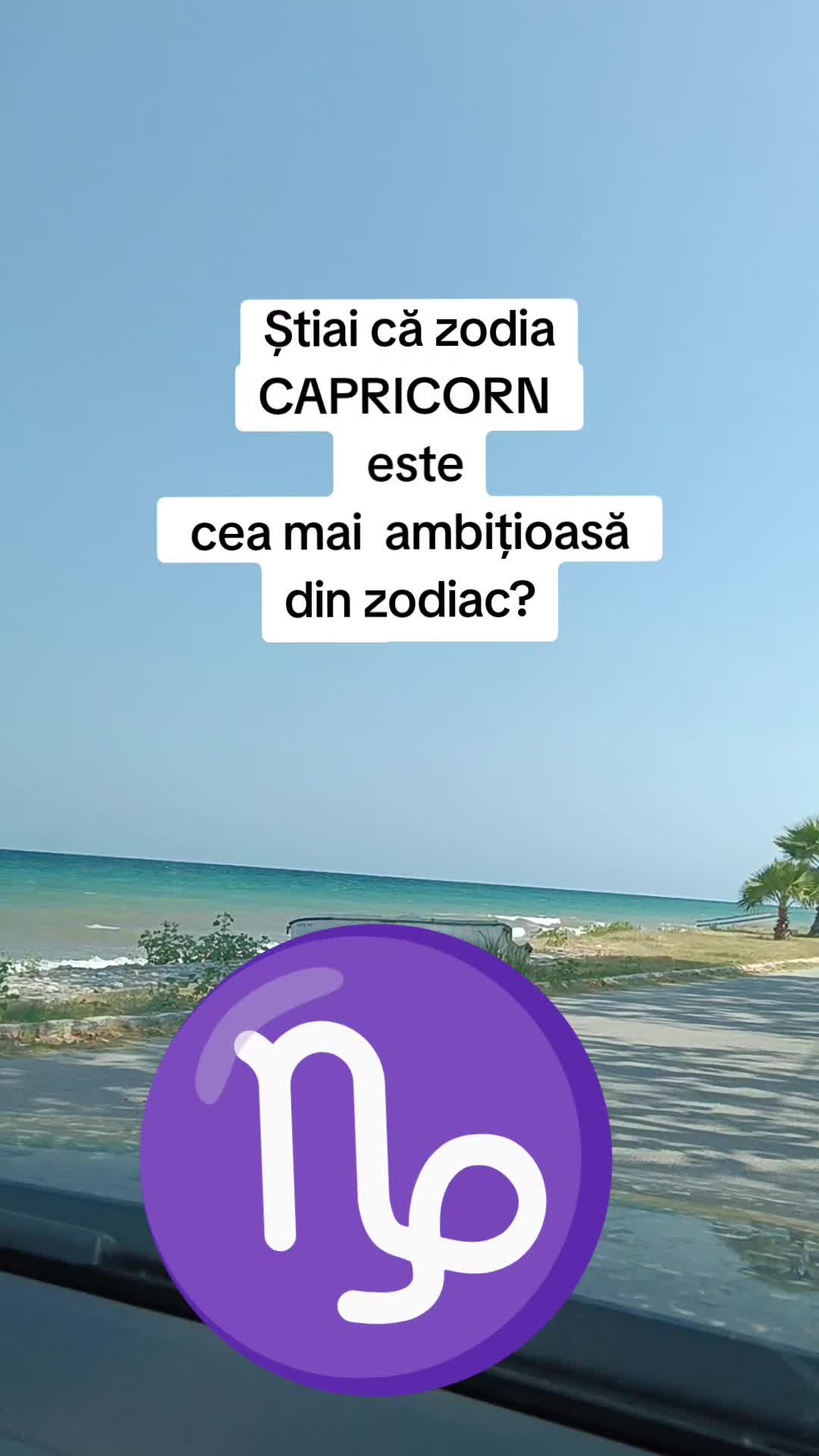 @Cami Călin