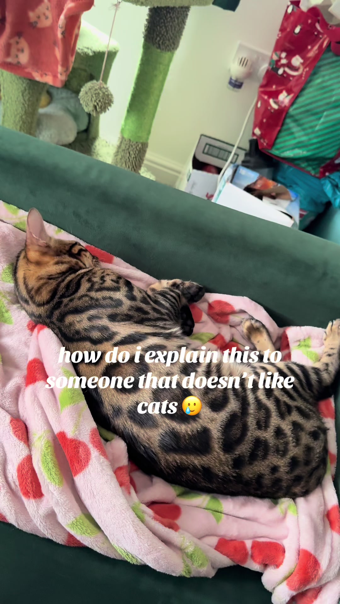 @Nacho&Bagel 🐈🐆