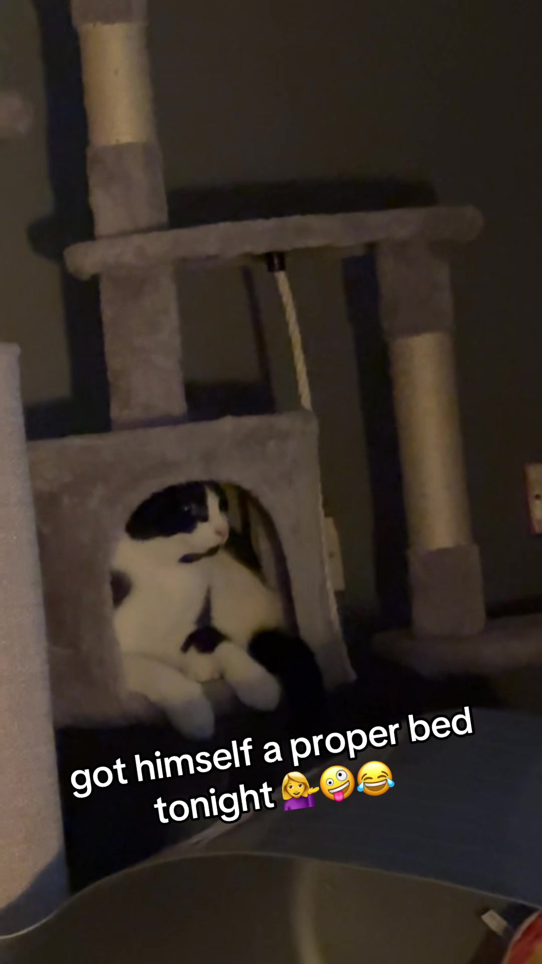 @Paigeyy