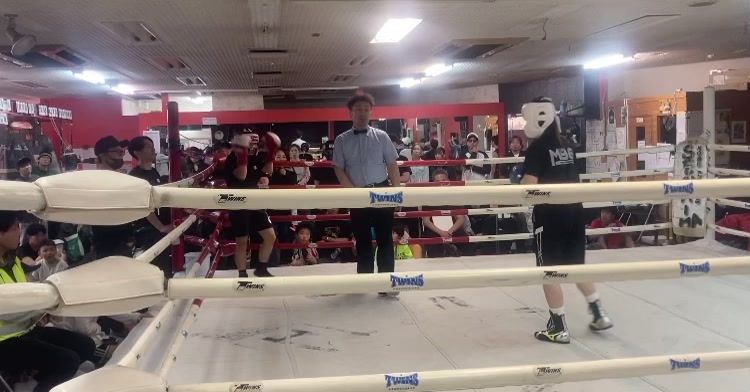 @ゆあ🥊