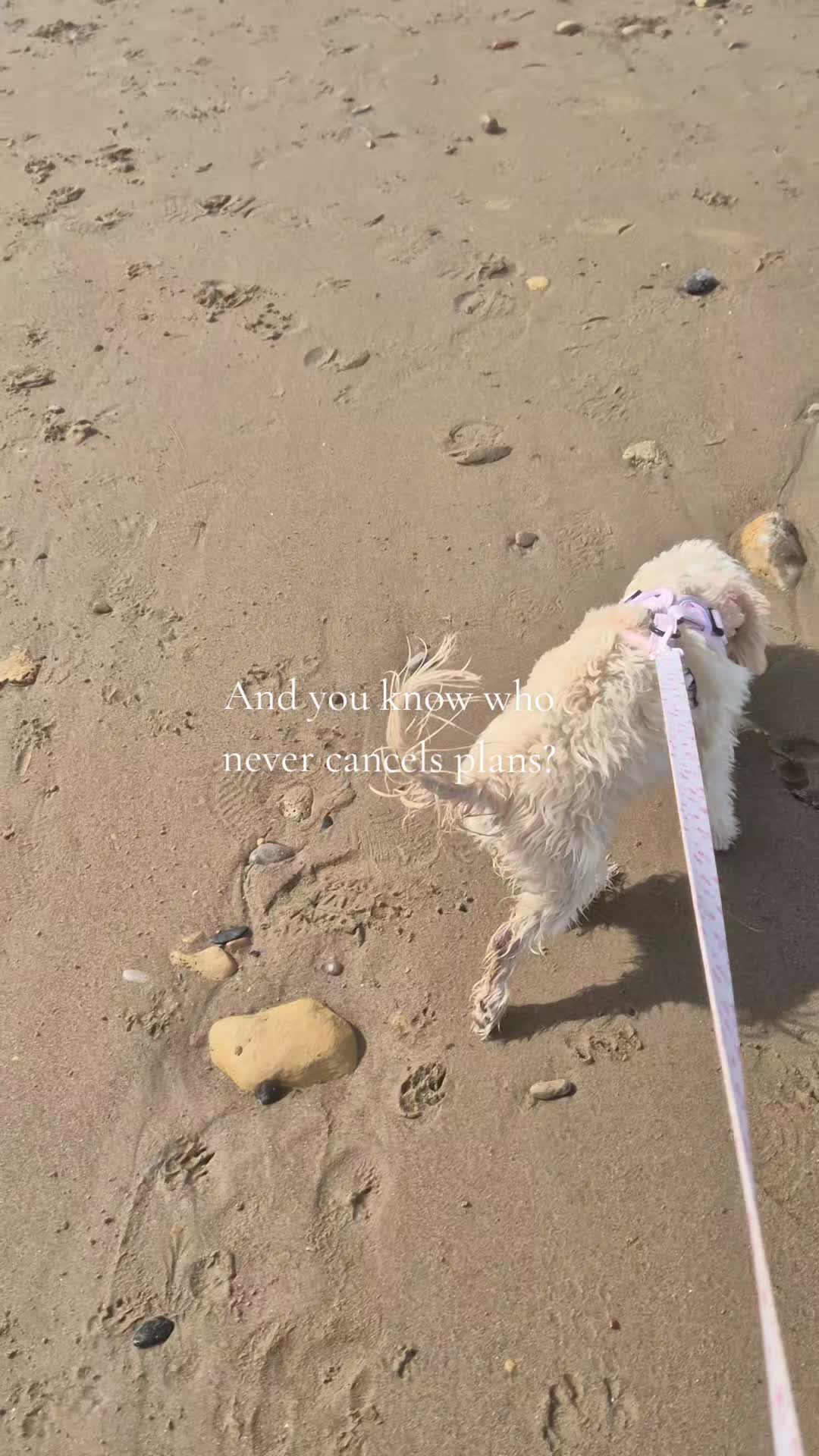 @Willow✨️