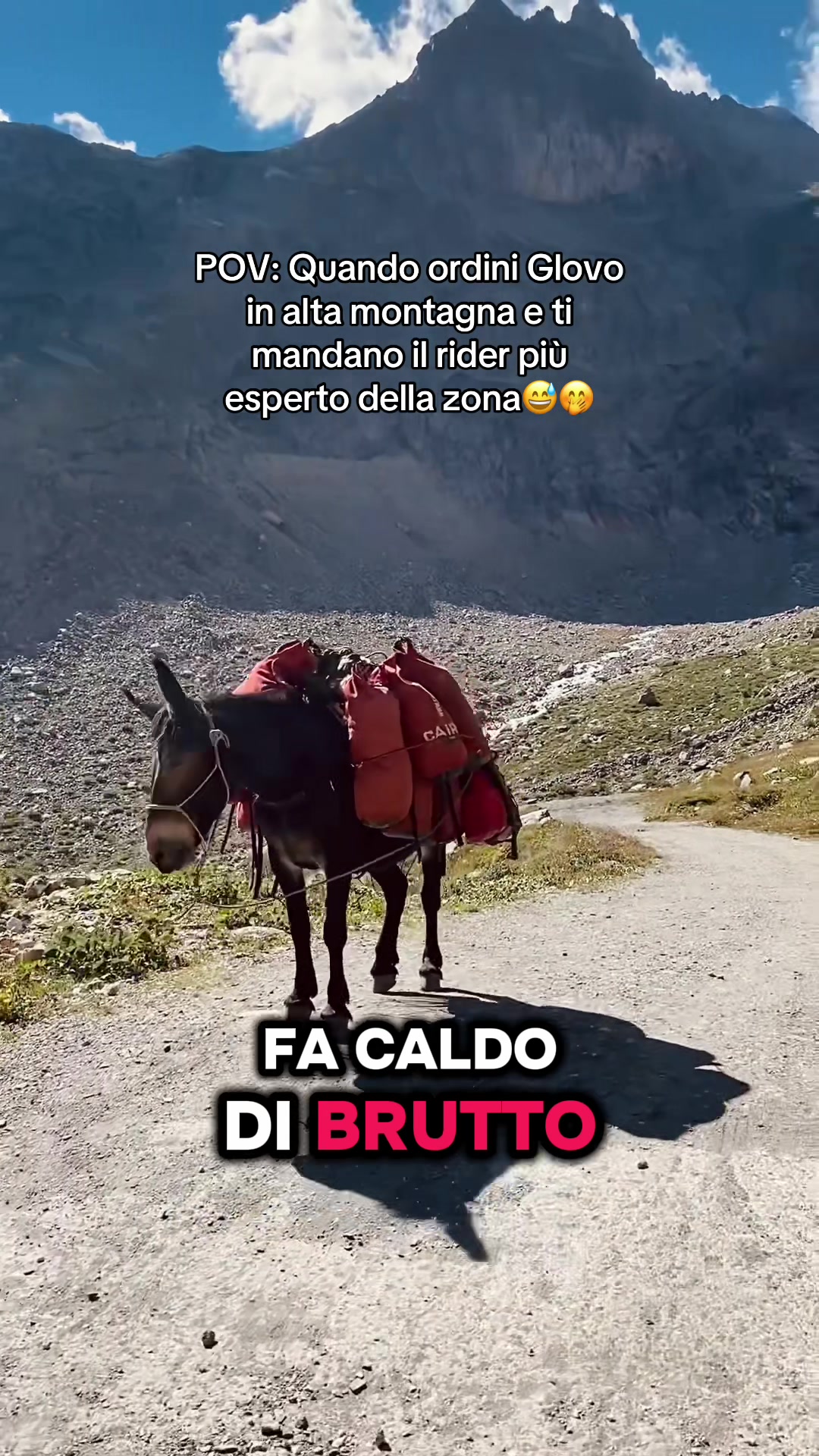 @⚡️Beppe