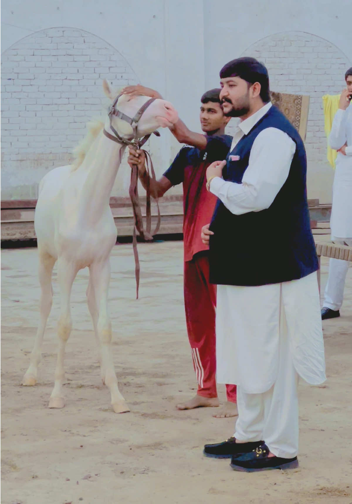 @Sheikh Usama Asghar