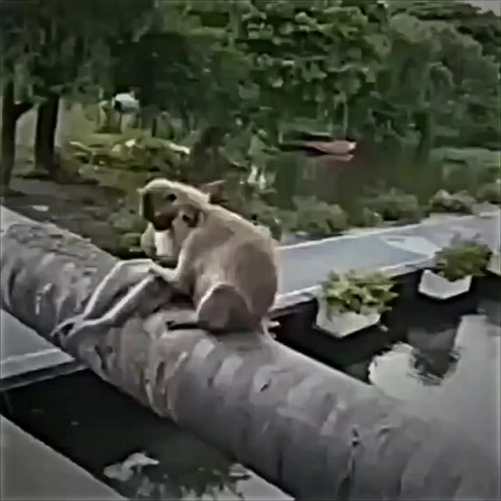 @A7B5J17
