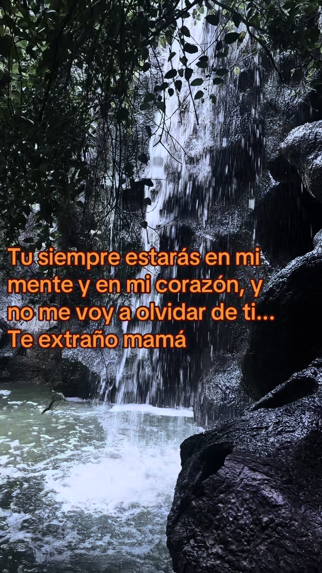 @frases88