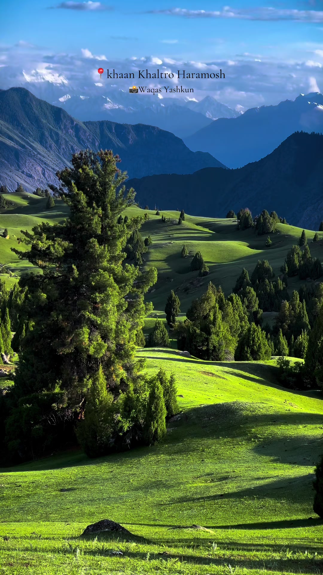 @WAQAS YASHKUN