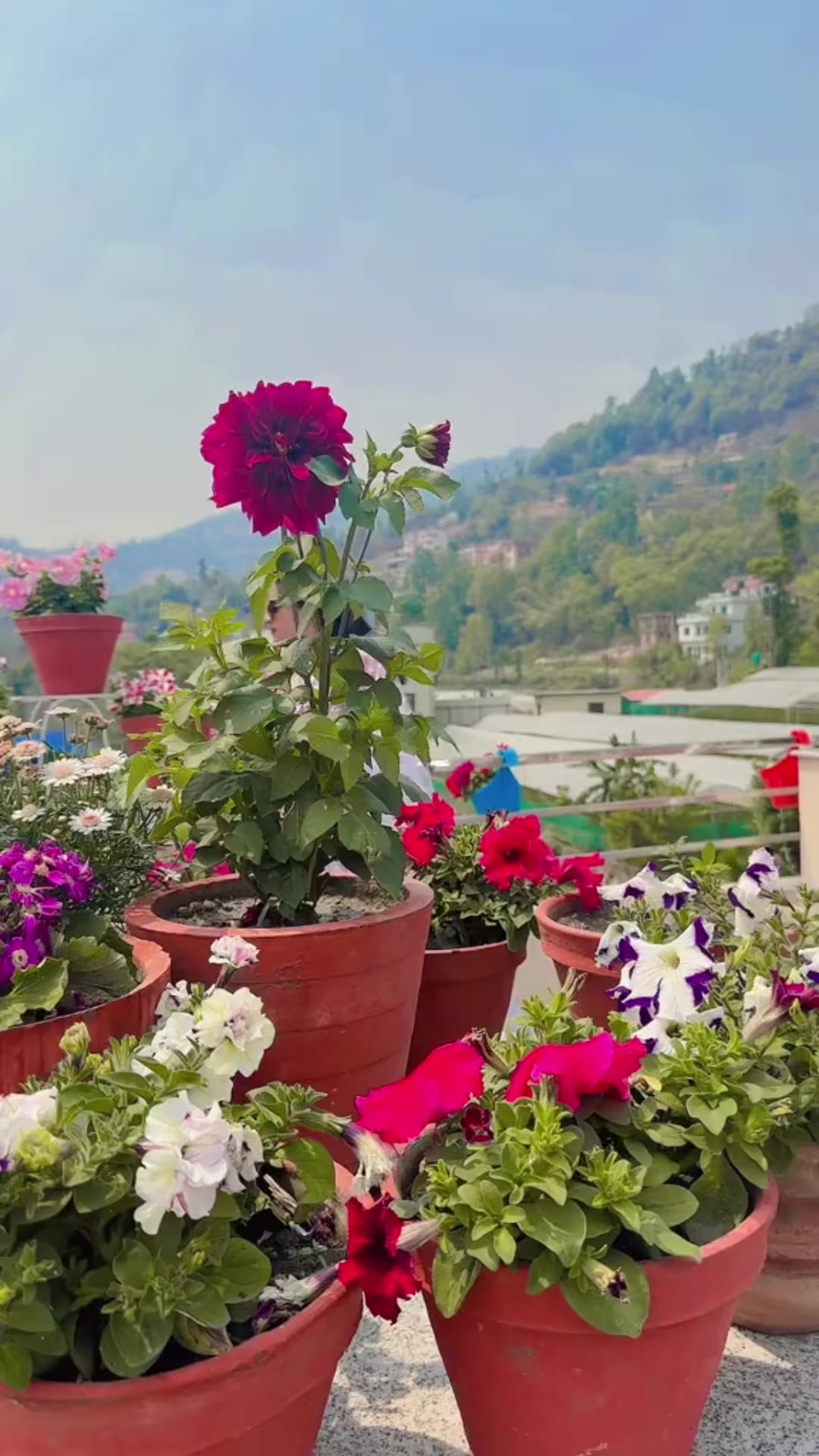 @Samjhana Lamichhane