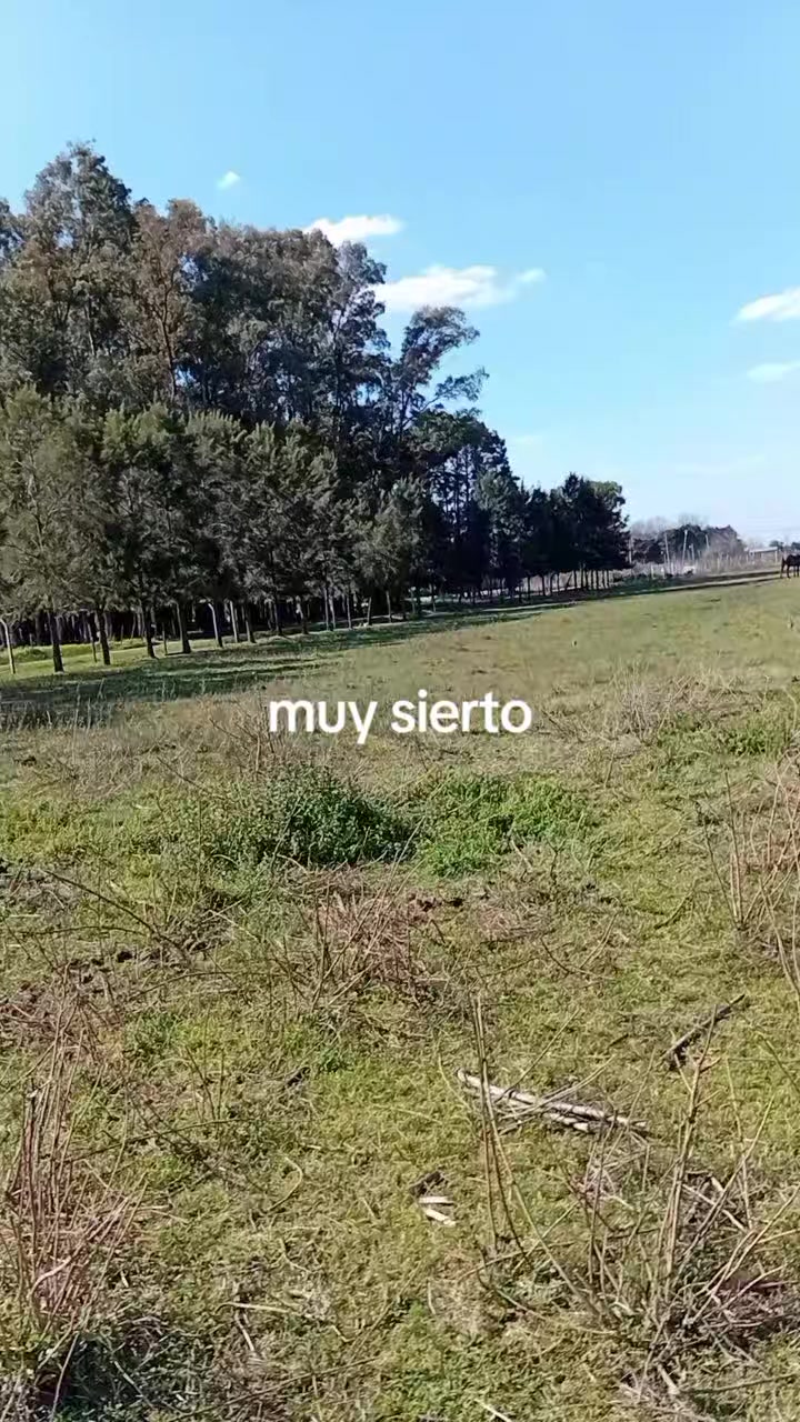 @Emy_Mary🇧🇴🇦🇷🐇🌿