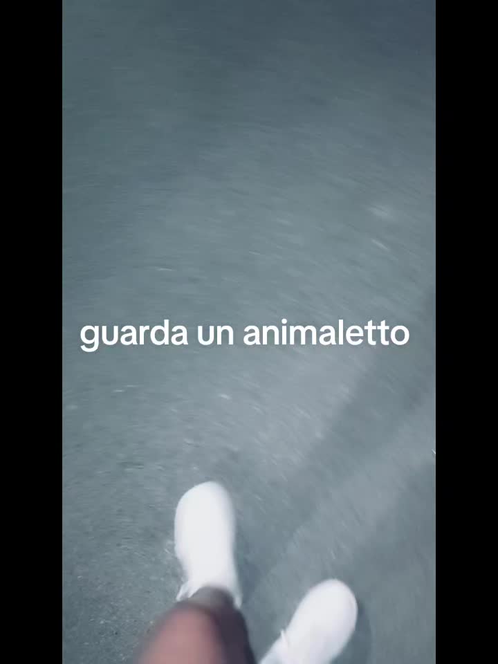 @💫