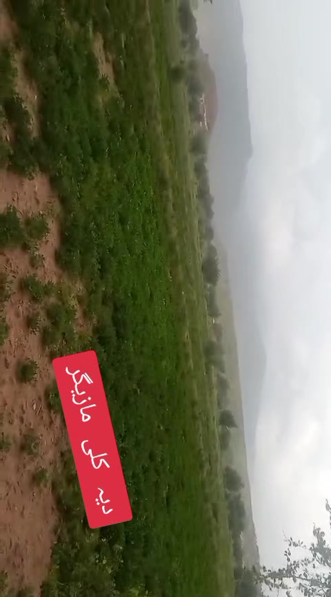 @لگه موسکے شه &hearts;️ په ما گرانی👉