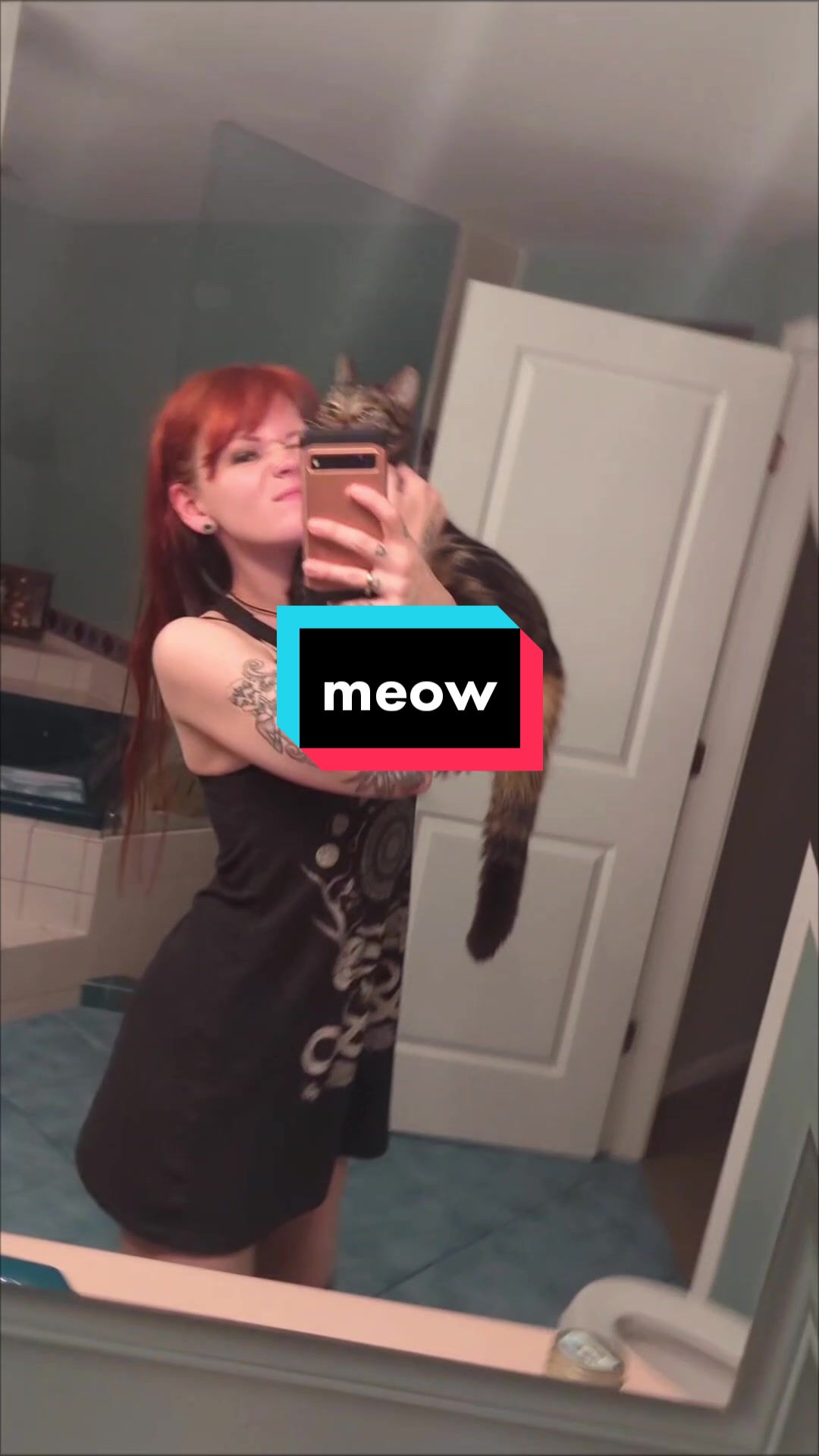 @AppleCatMusic