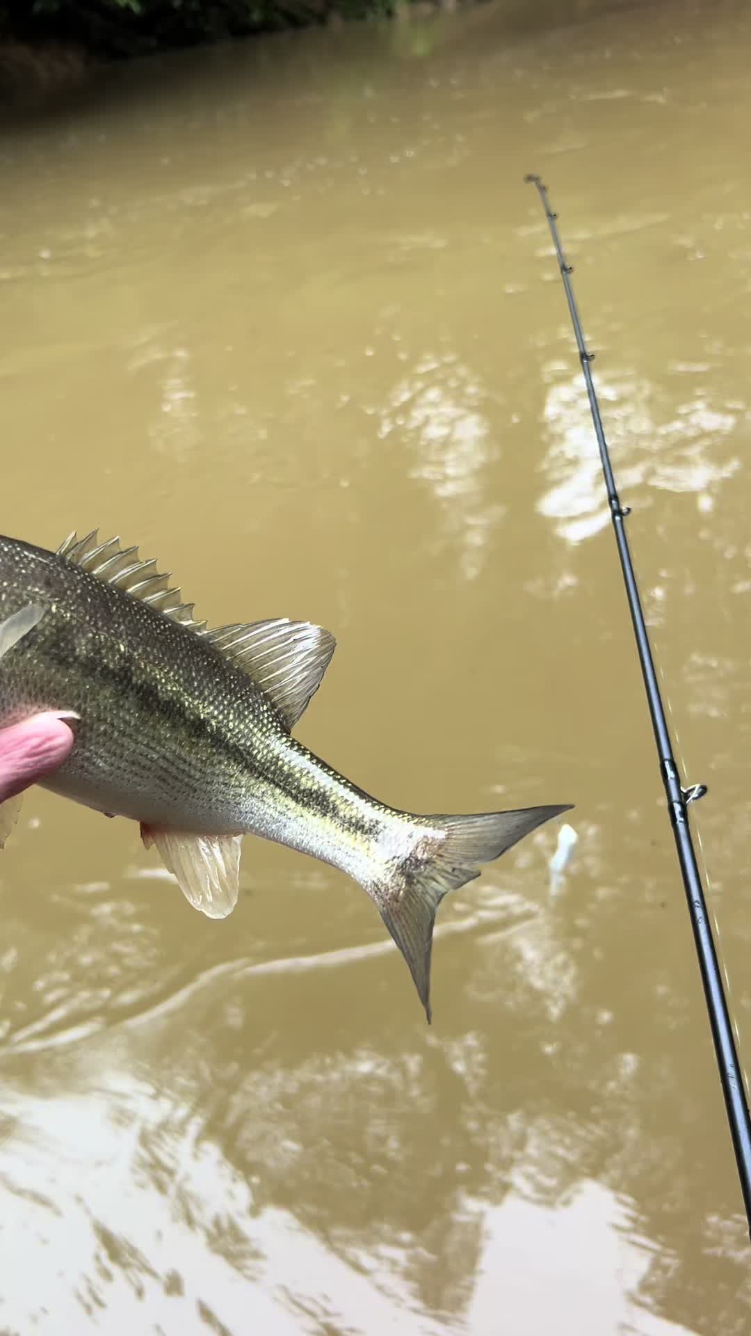 @Creek Seeker Outdoors