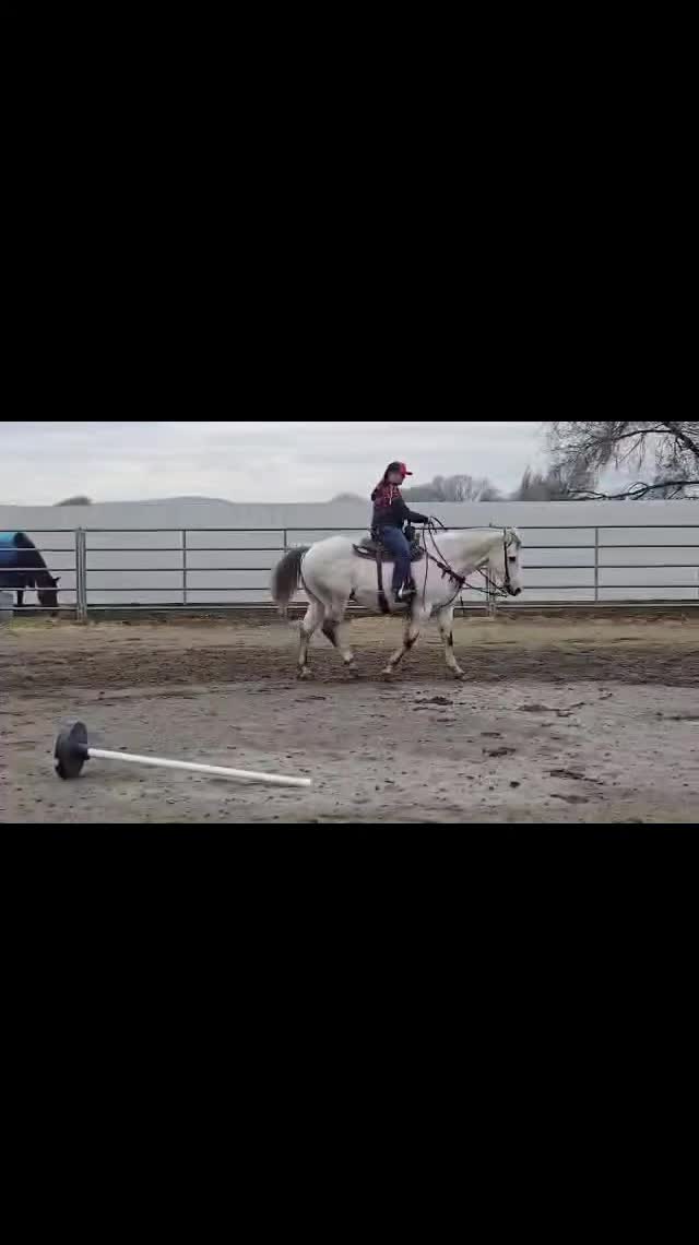 @Suzanne Stader