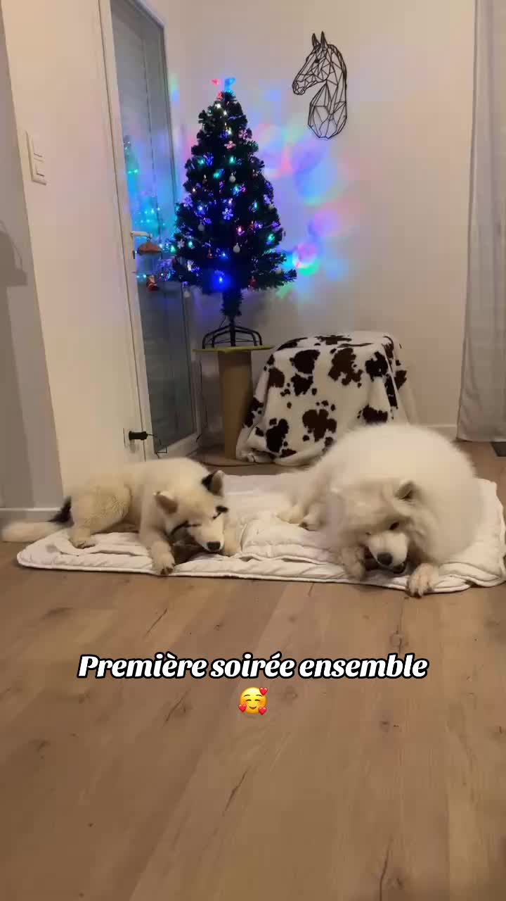 @_Sarah.mrn_