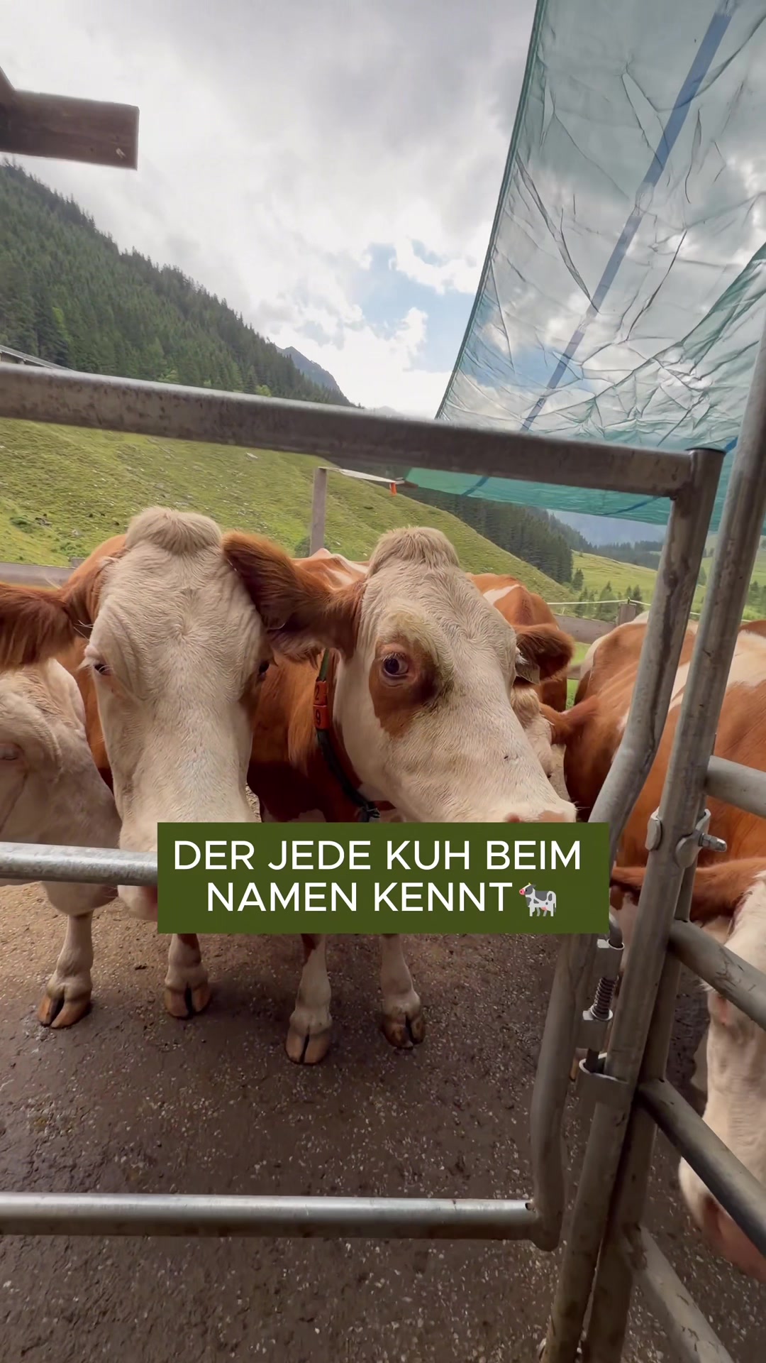 @FarmTok