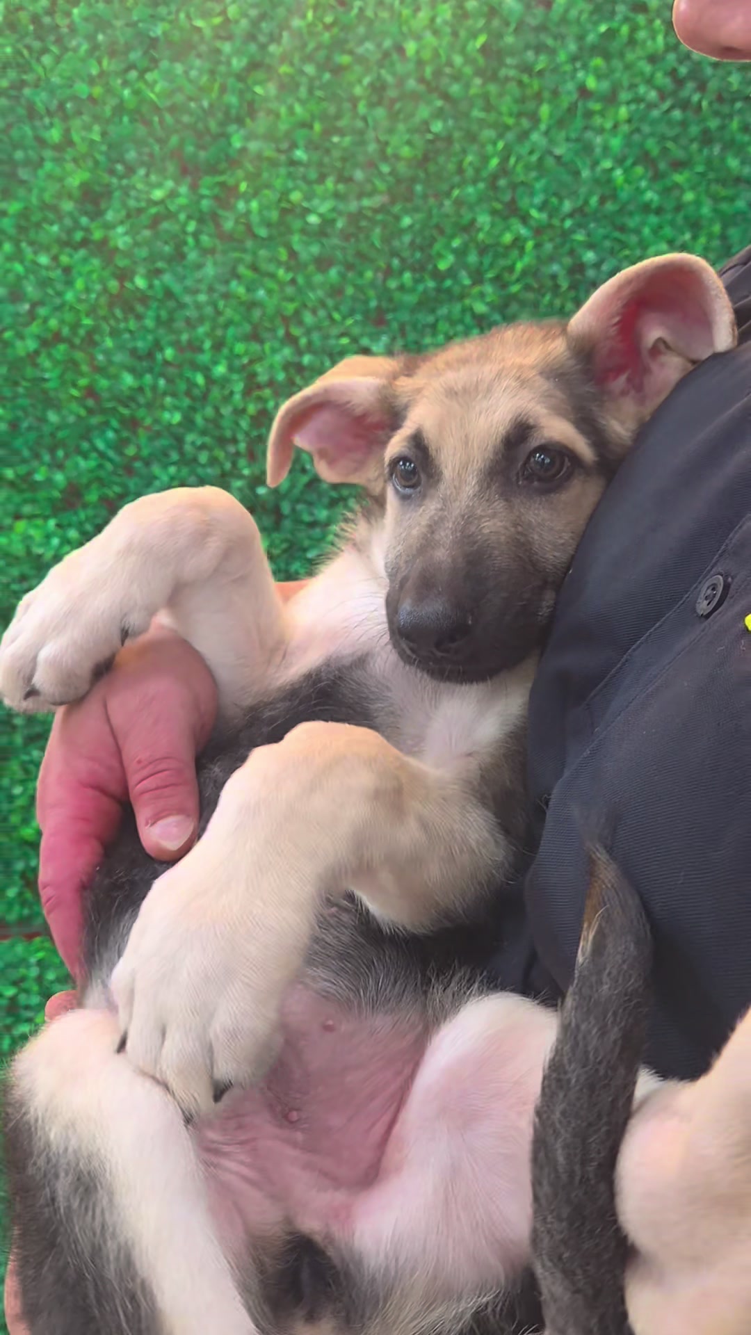 @Petland Oklahoma City