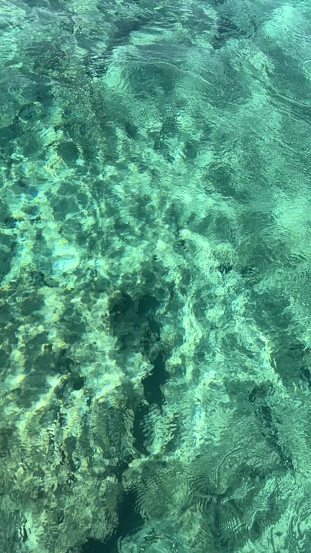 @🌊Imad🌊
