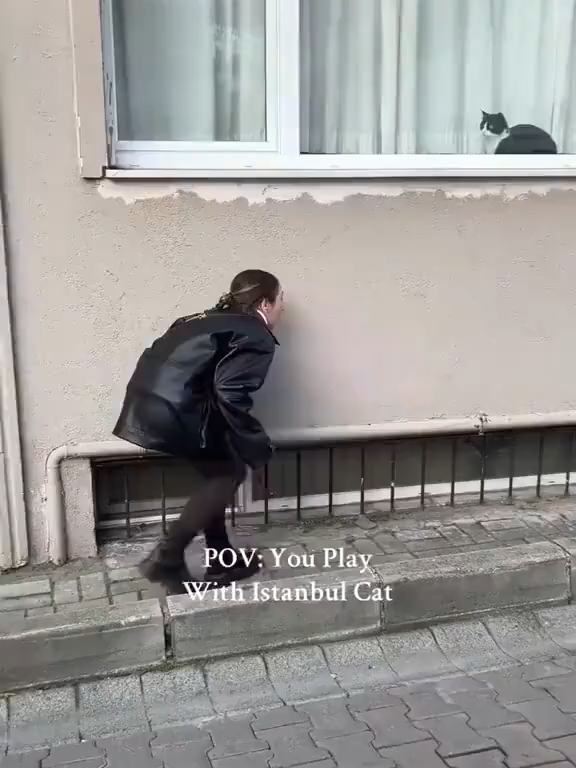 @cats