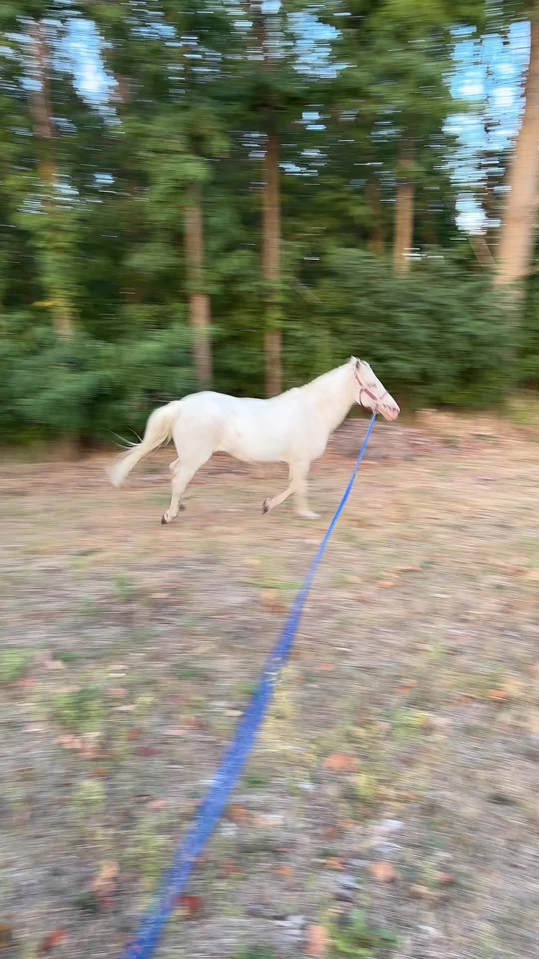@💋 csókollak💋