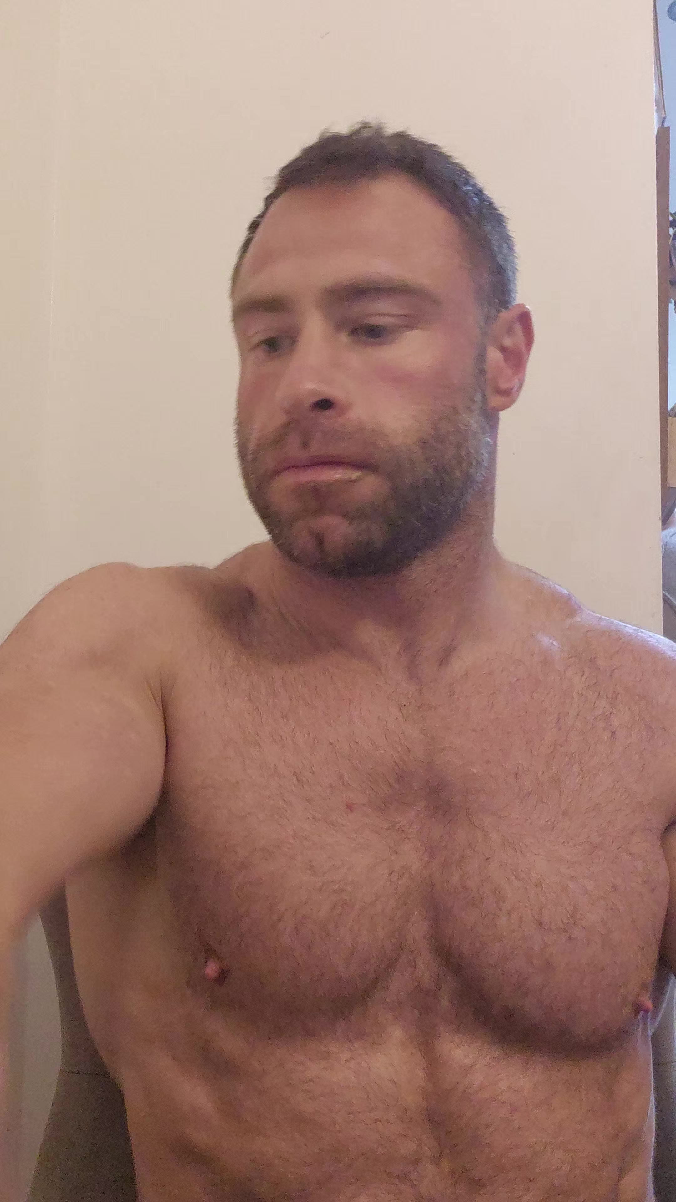@the_baby_silverback