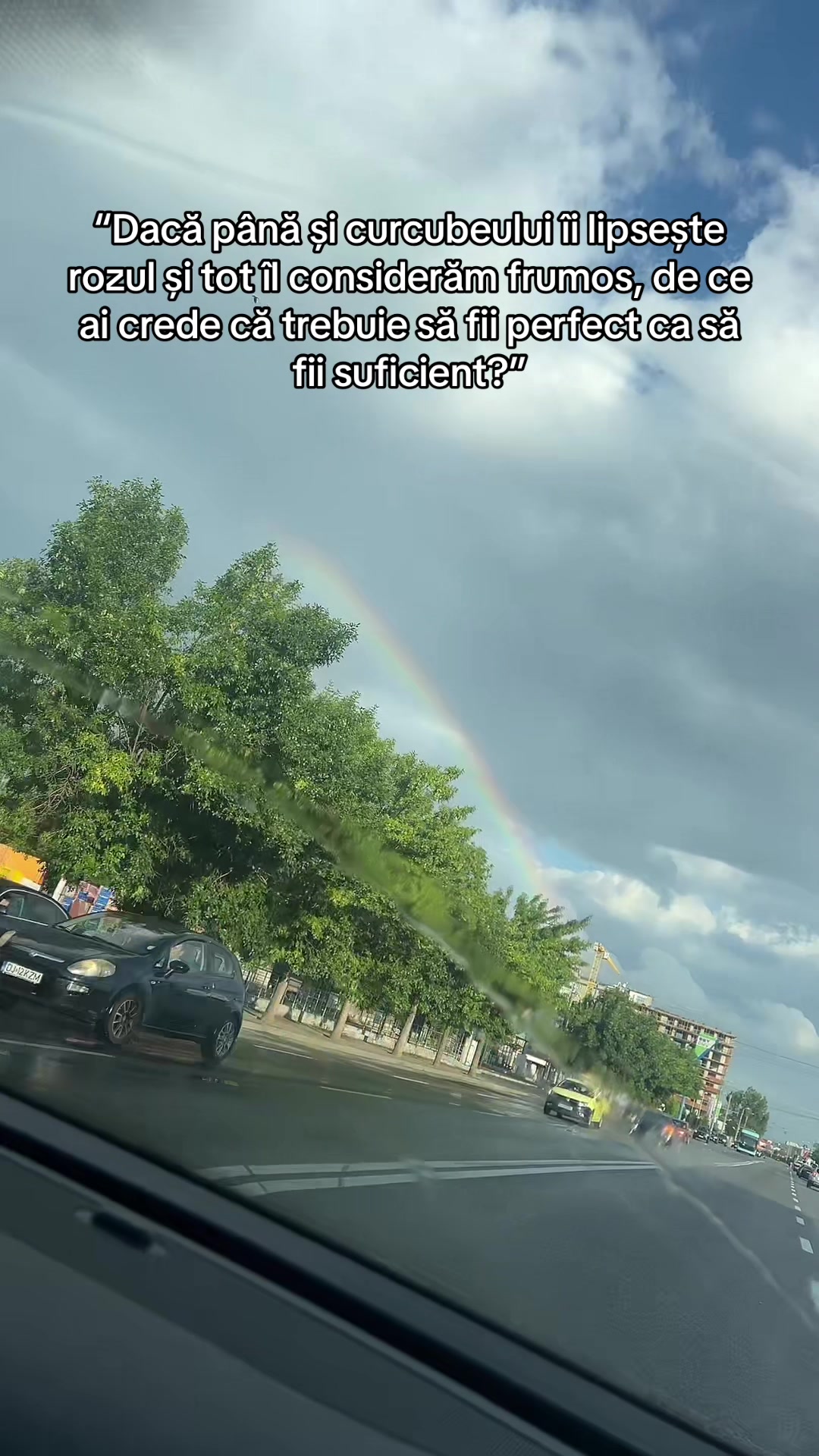 @Monalisa Capșa