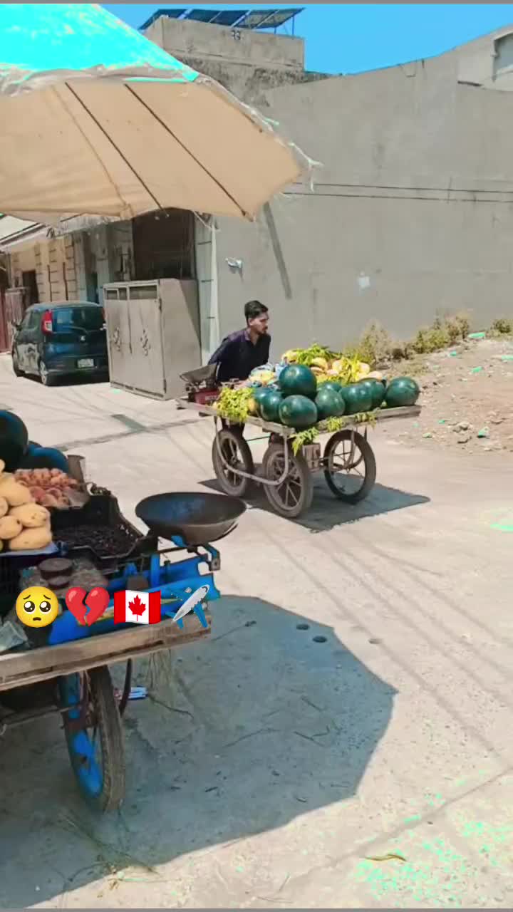 @Fruit Wala 🍎