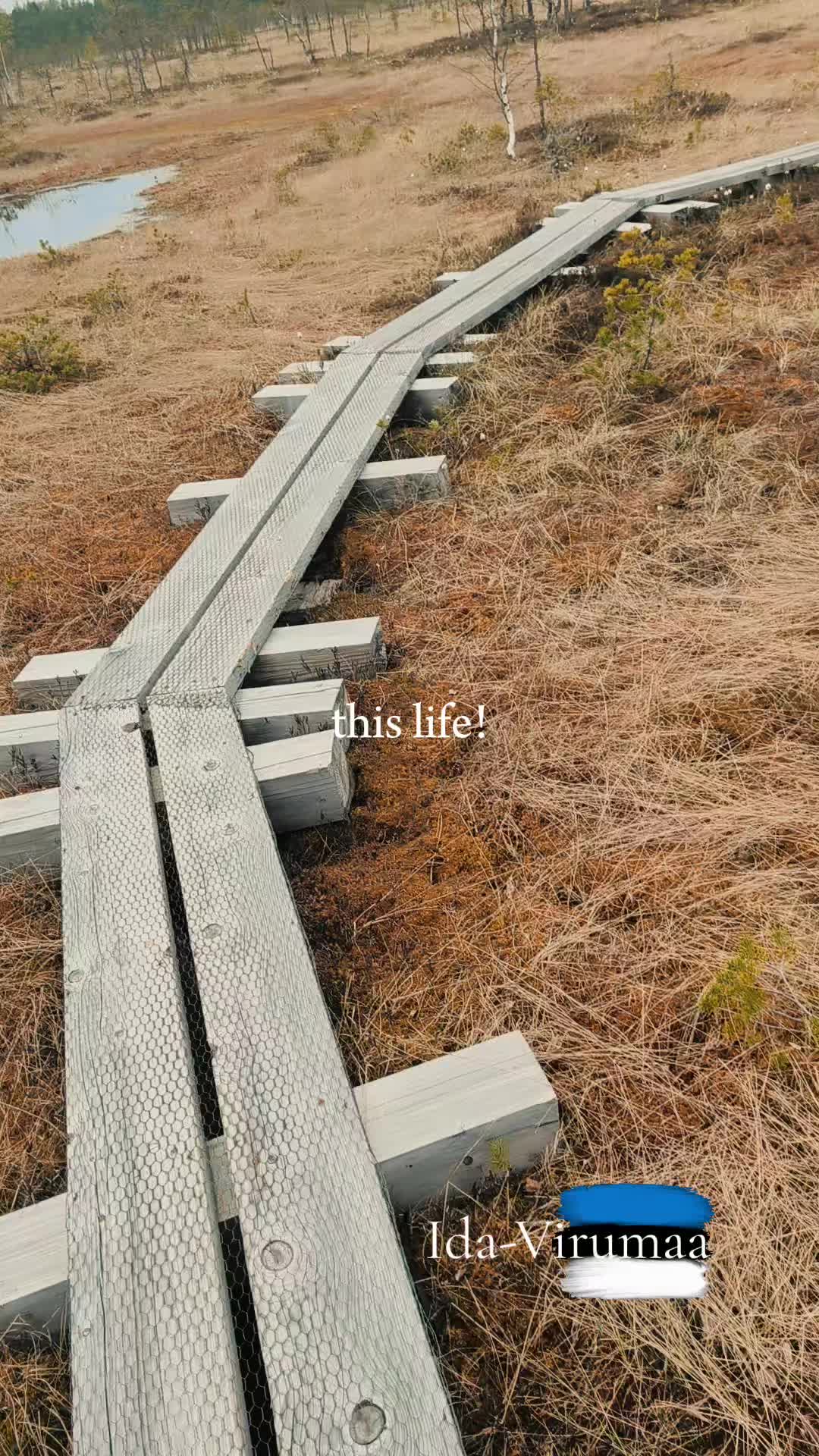 @&bull;Фёкла́&bull;𝓕ё𝓀𝓁𝒶