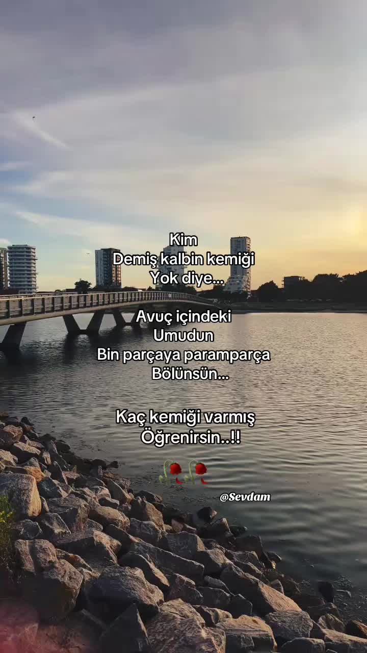 @Sevdam
