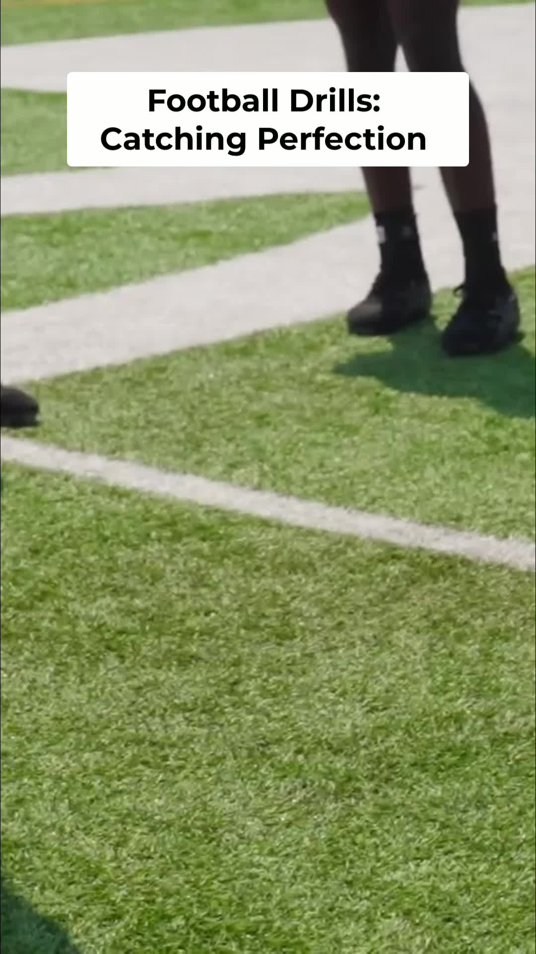 @The Fans