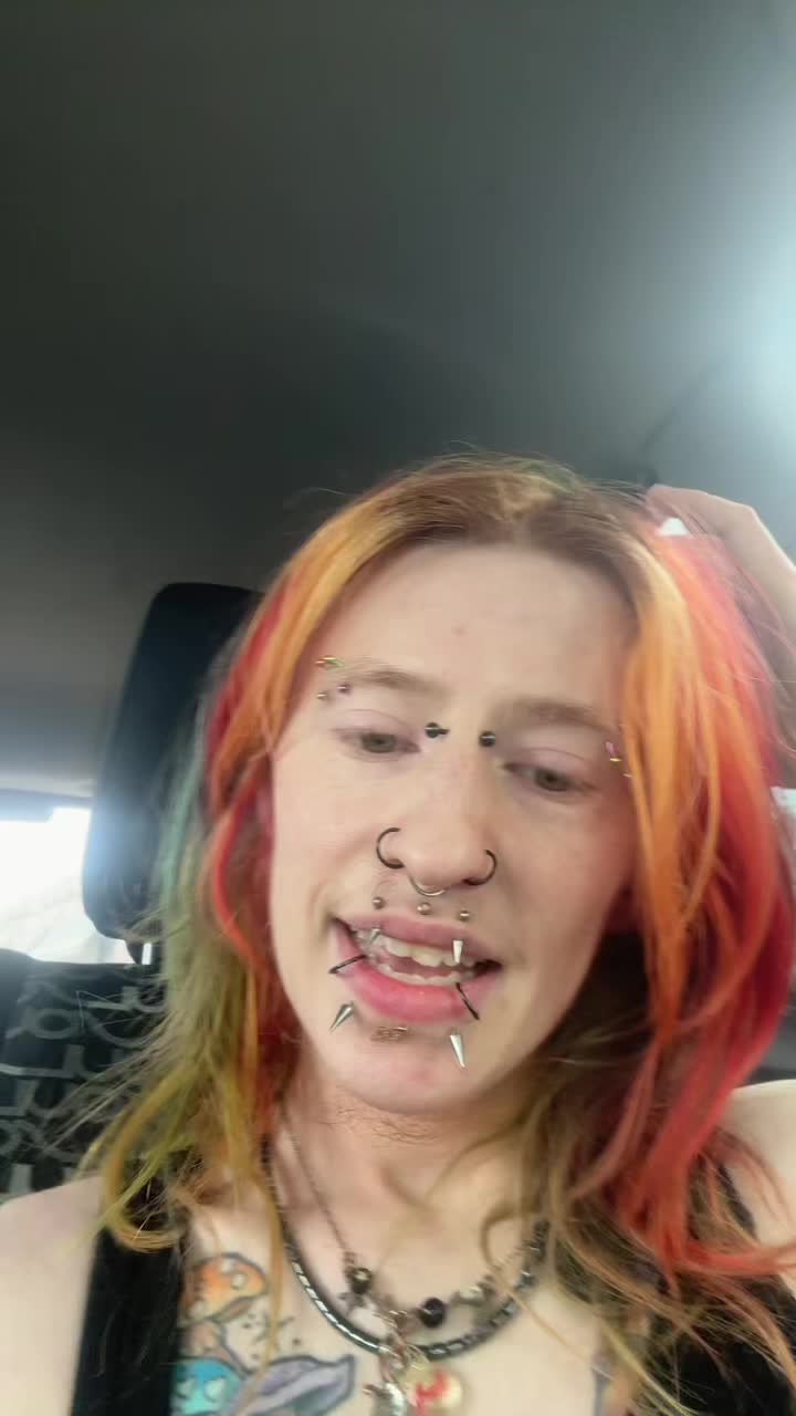 @Hysteria-🦜RoadRage Chairman🐕