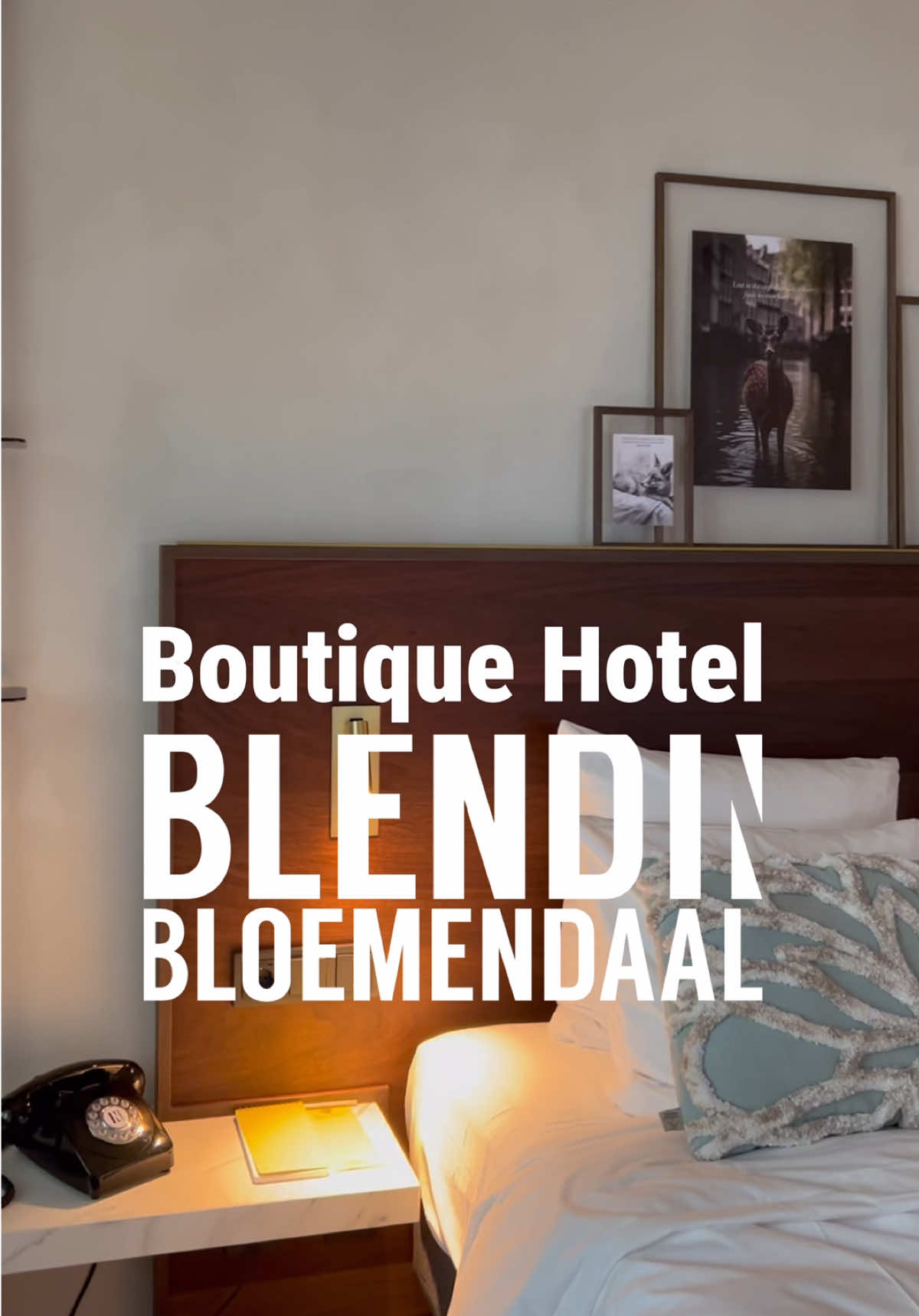 @Blendin.com