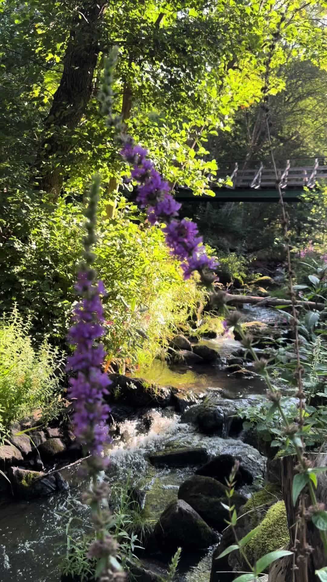 @CarinaWestcoastSweden🇸🇪