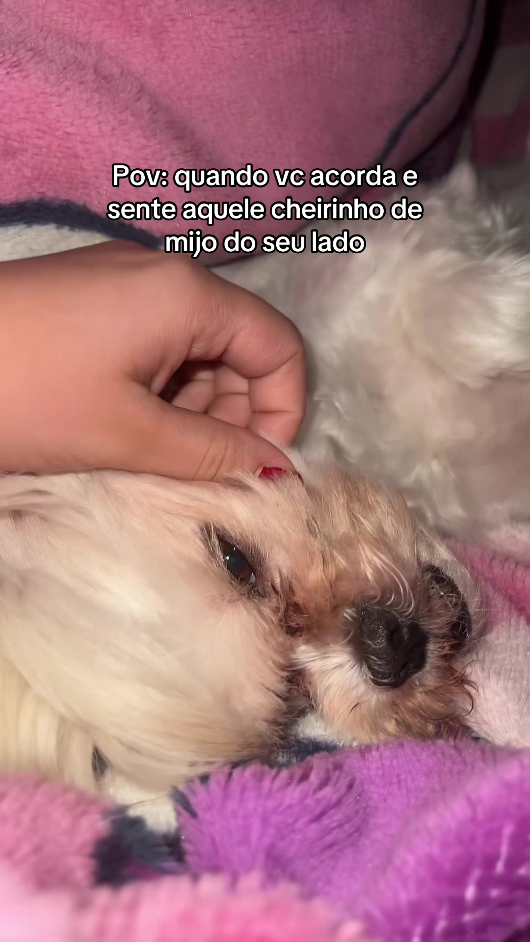 @🦋bella🦋