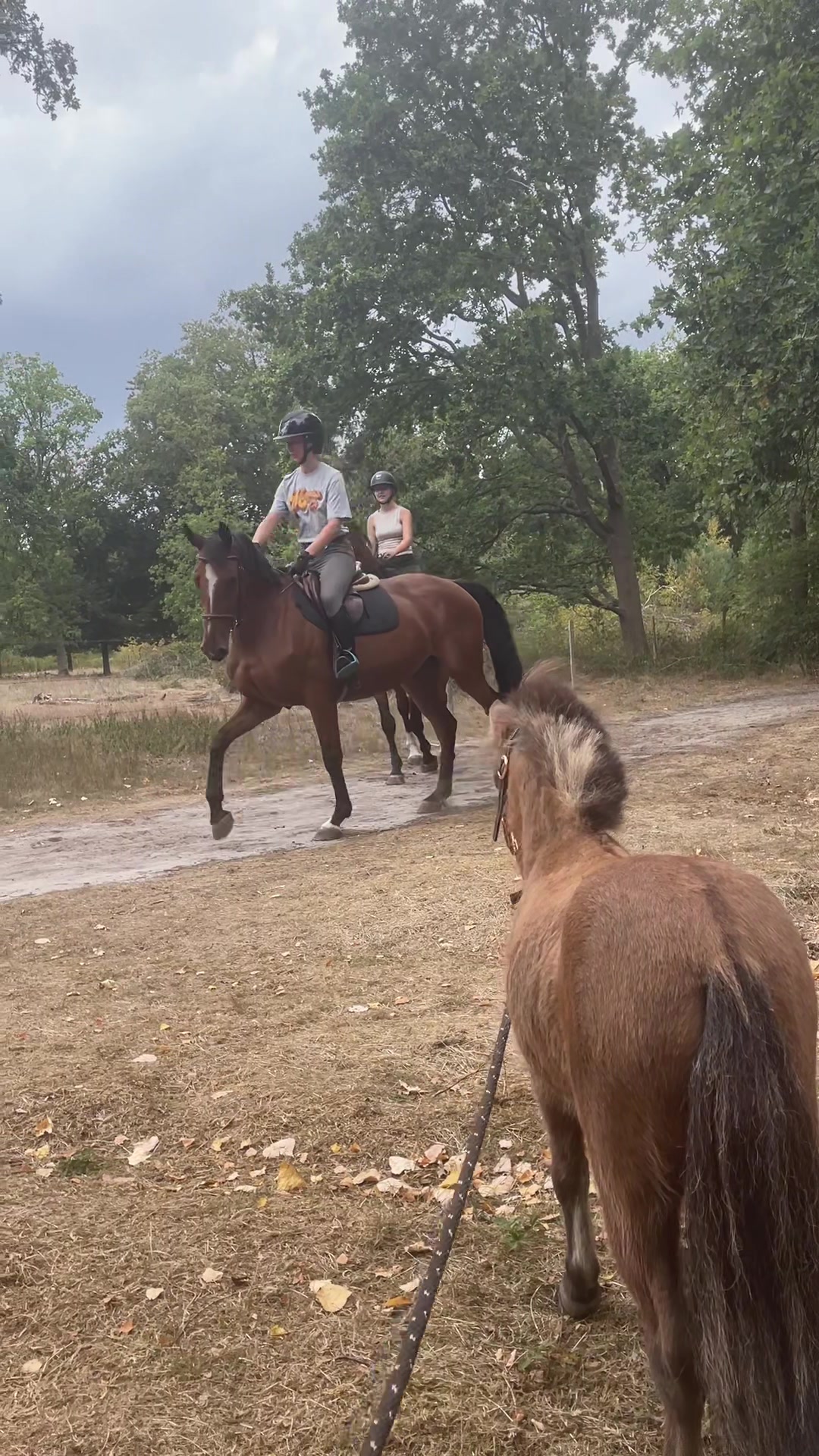 @equi.jcf