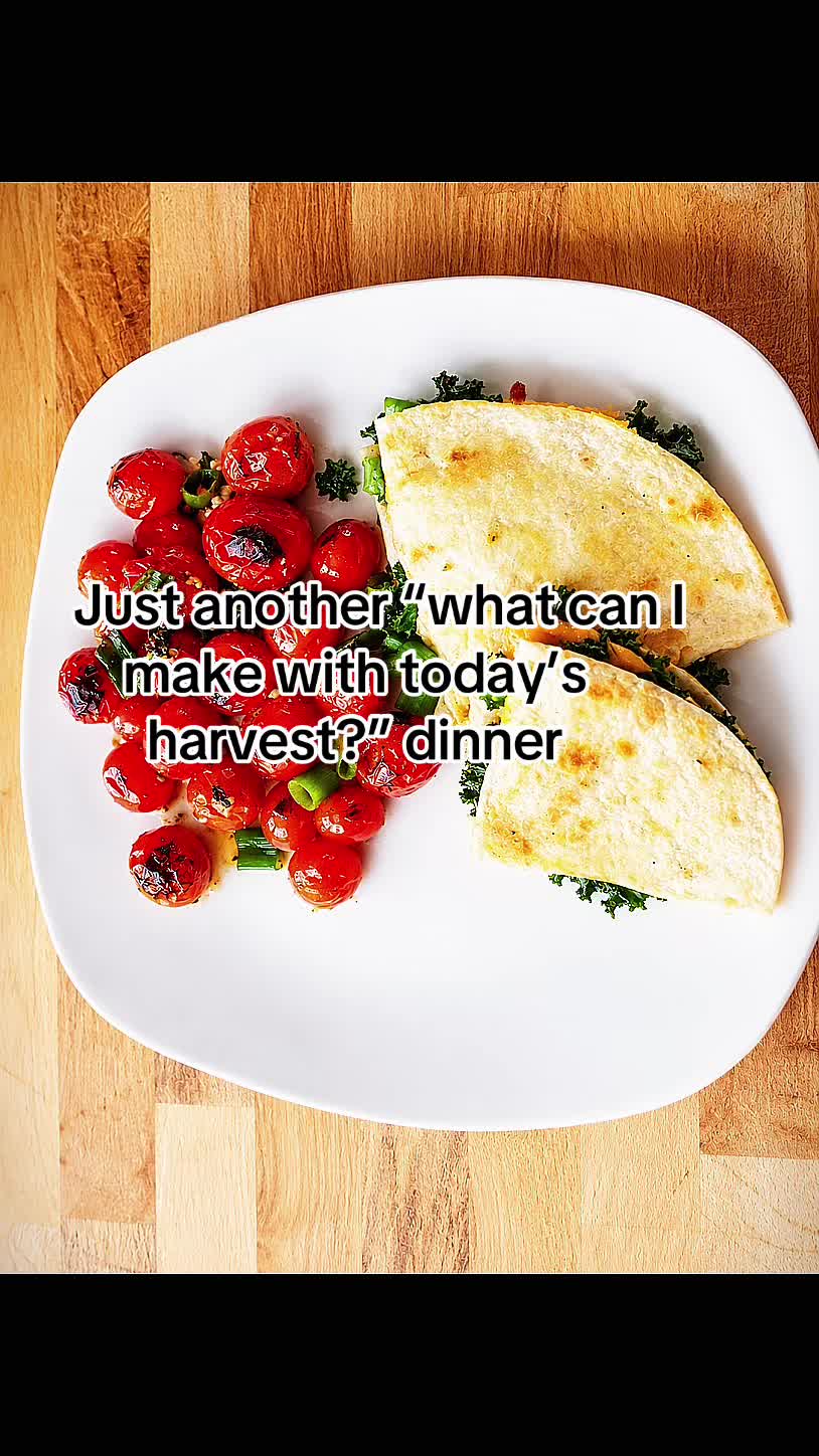 @Resistance Homesteaders