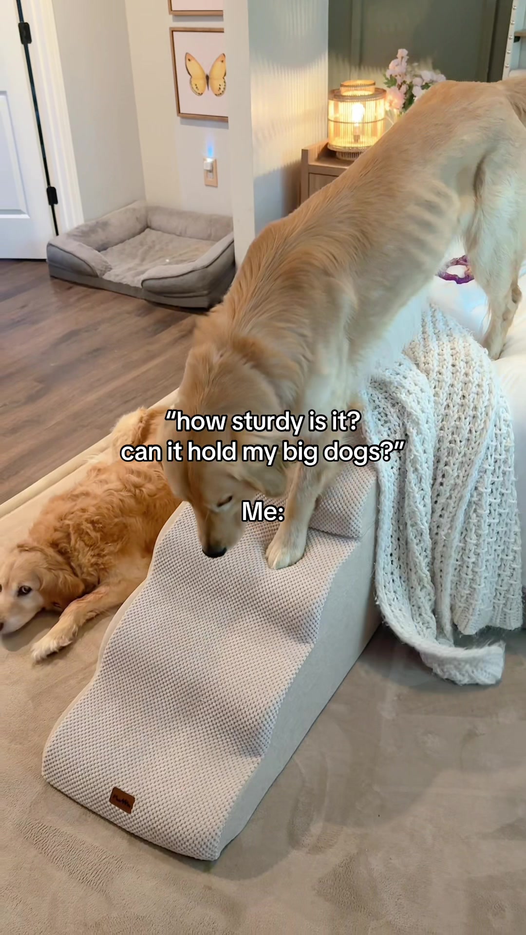 @Josi B🐕