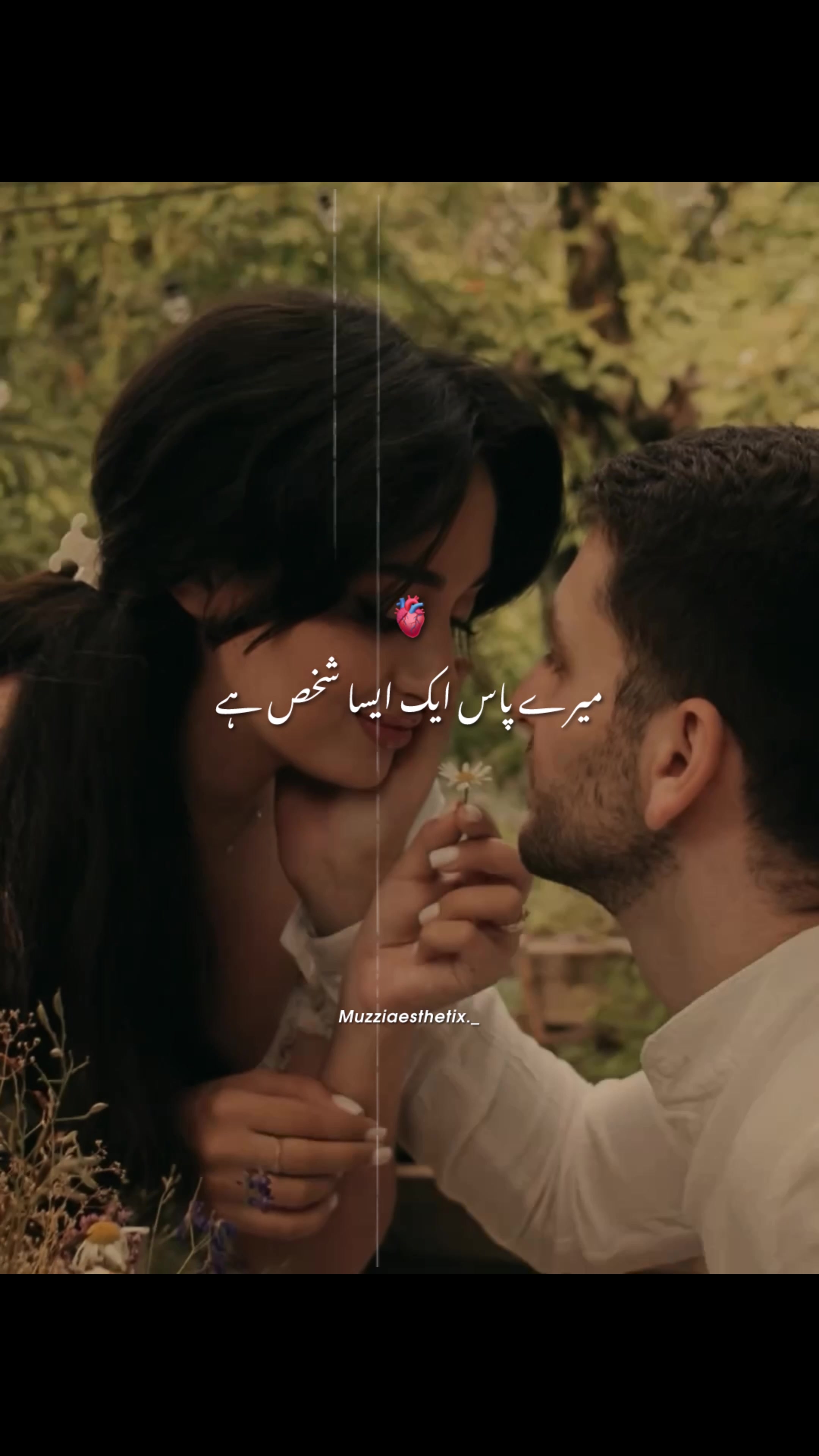 @Rehman