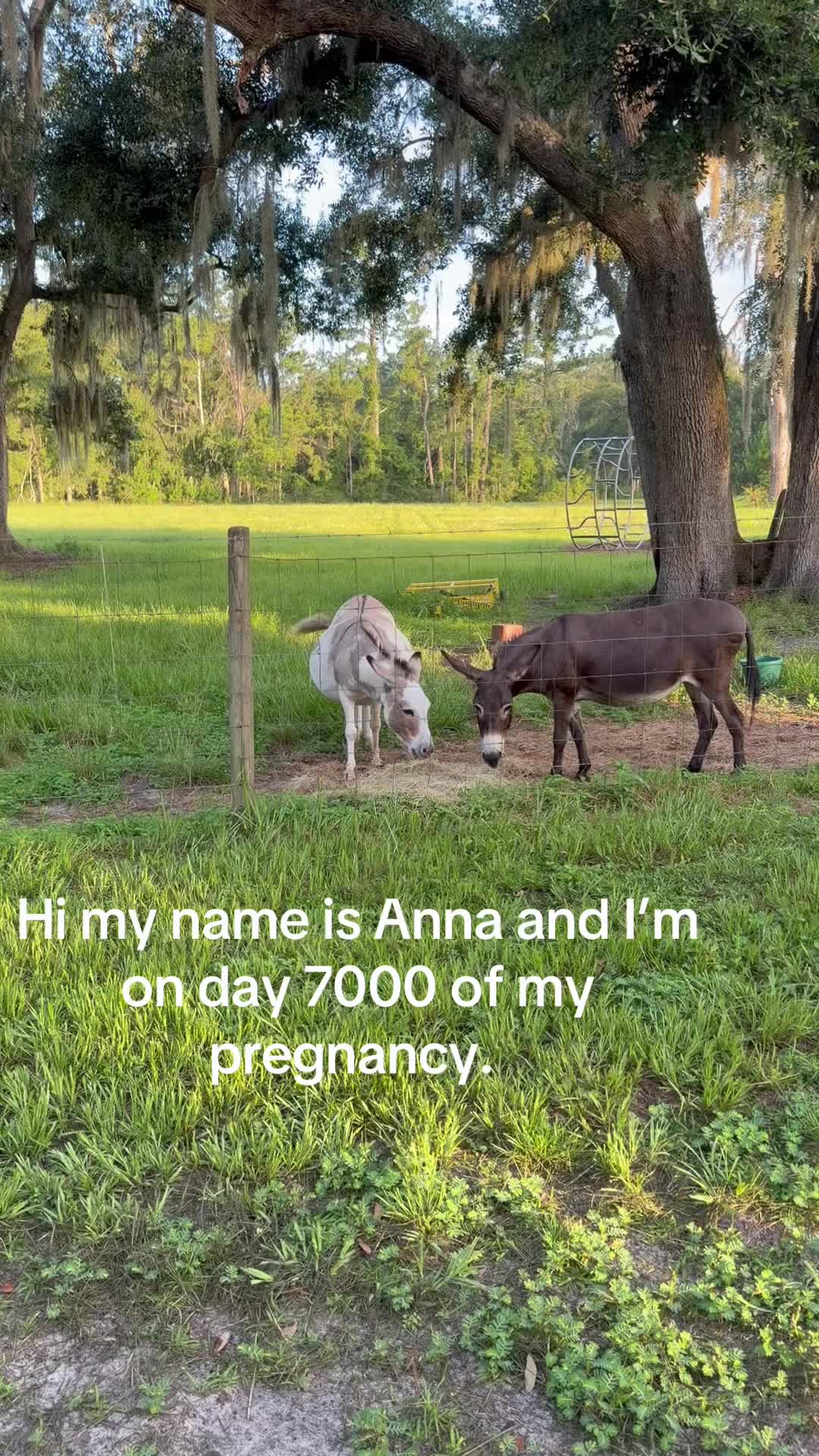 @Kelley Farms