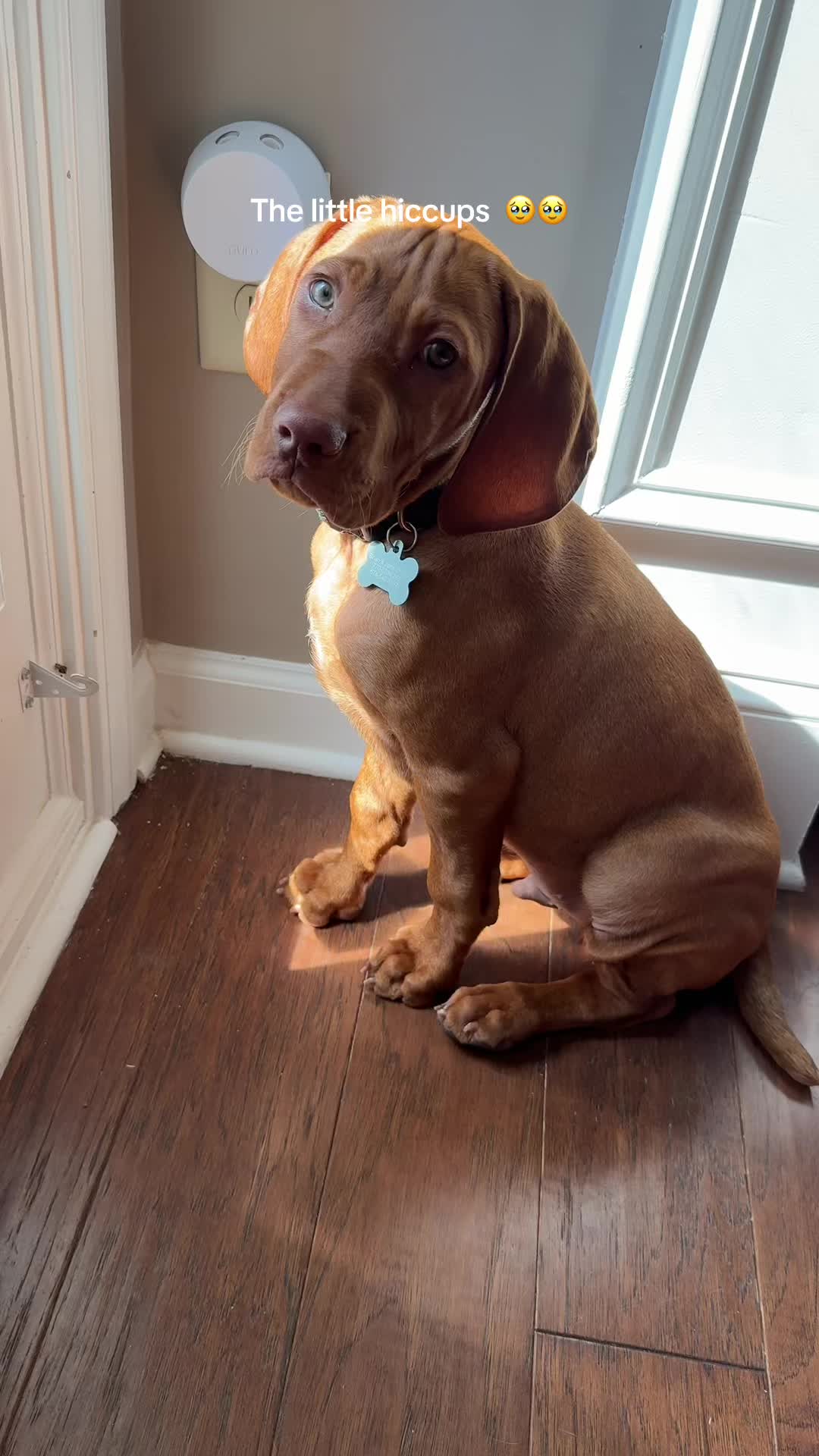 @Copper | Penny