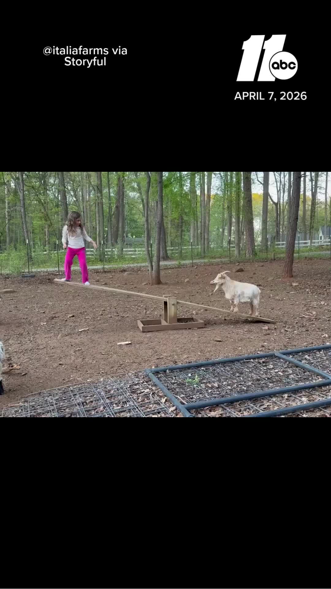 @ABC11