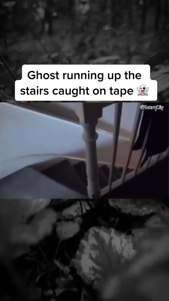 @SCARYVIDEOS