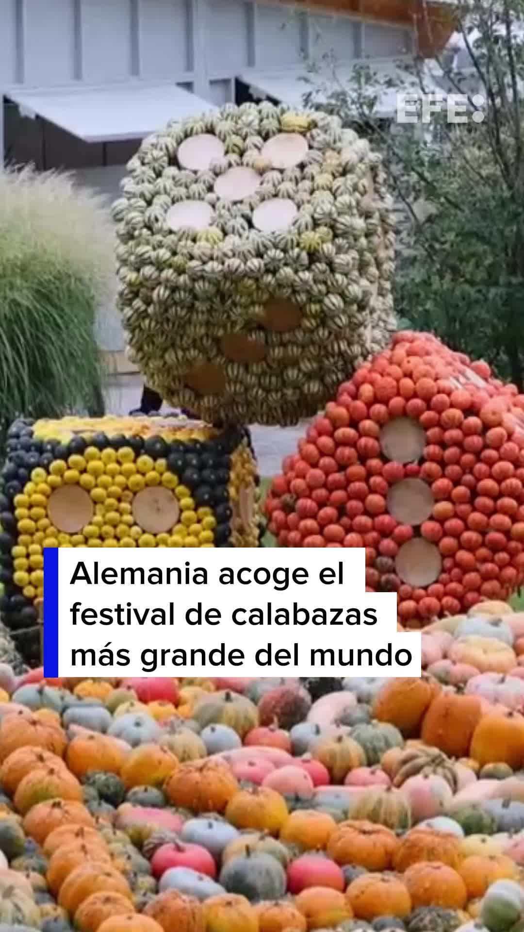 @EFE Noticias