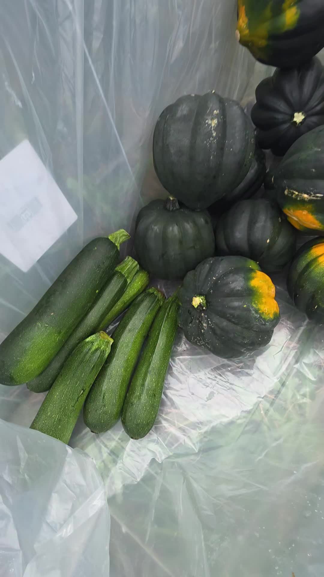 @𝙇𝙪𝙞𝙞502👨🌾