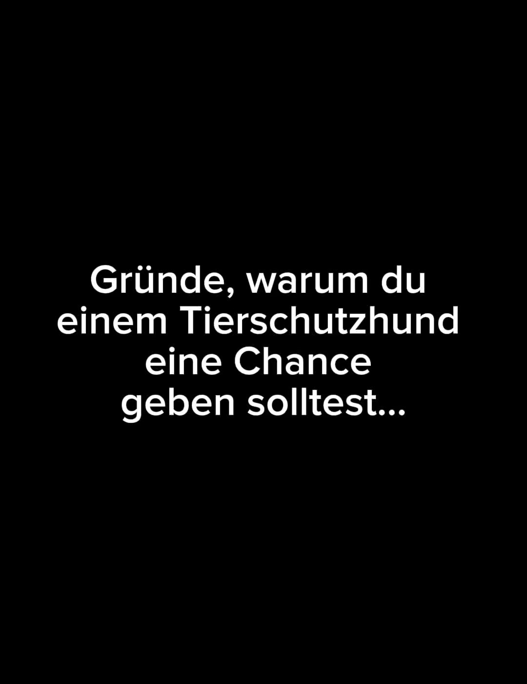 @Hundeherzkommando 🐾