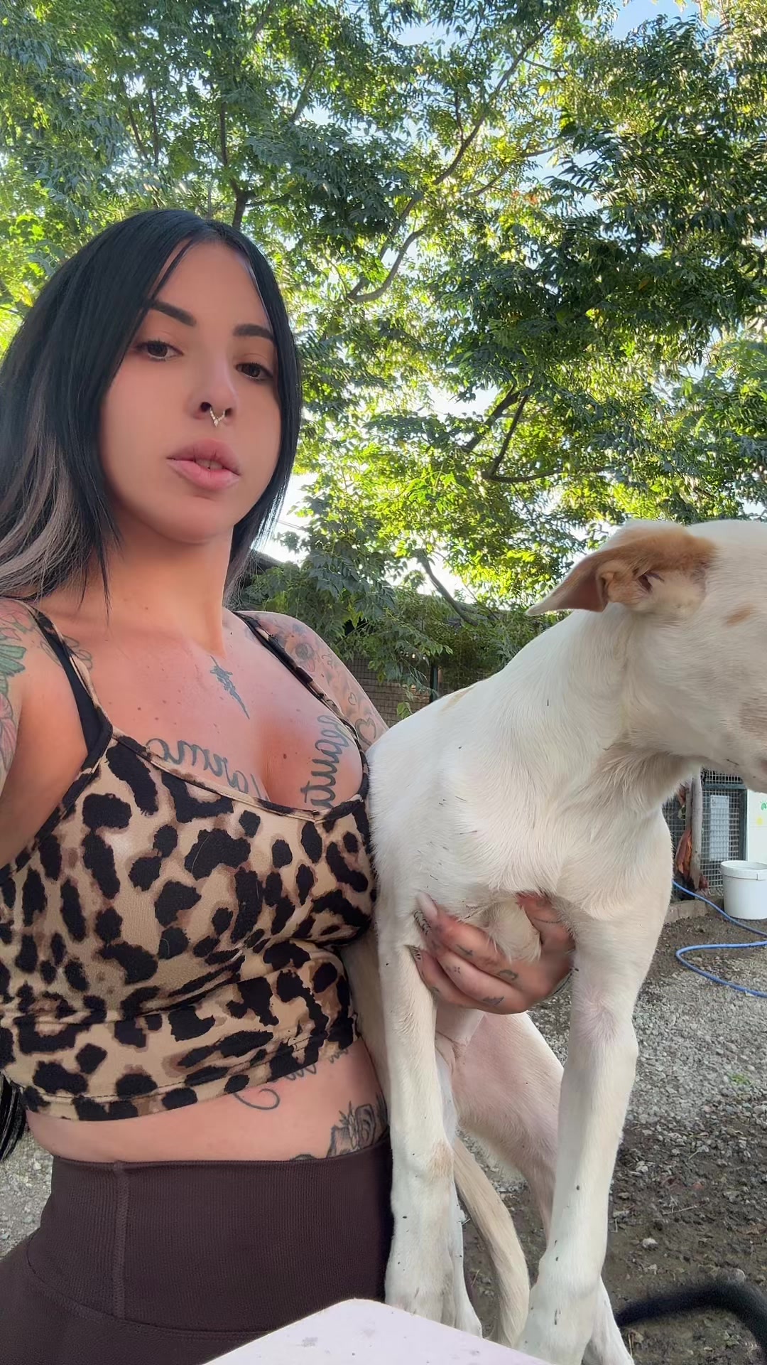 @refugiogranada39
