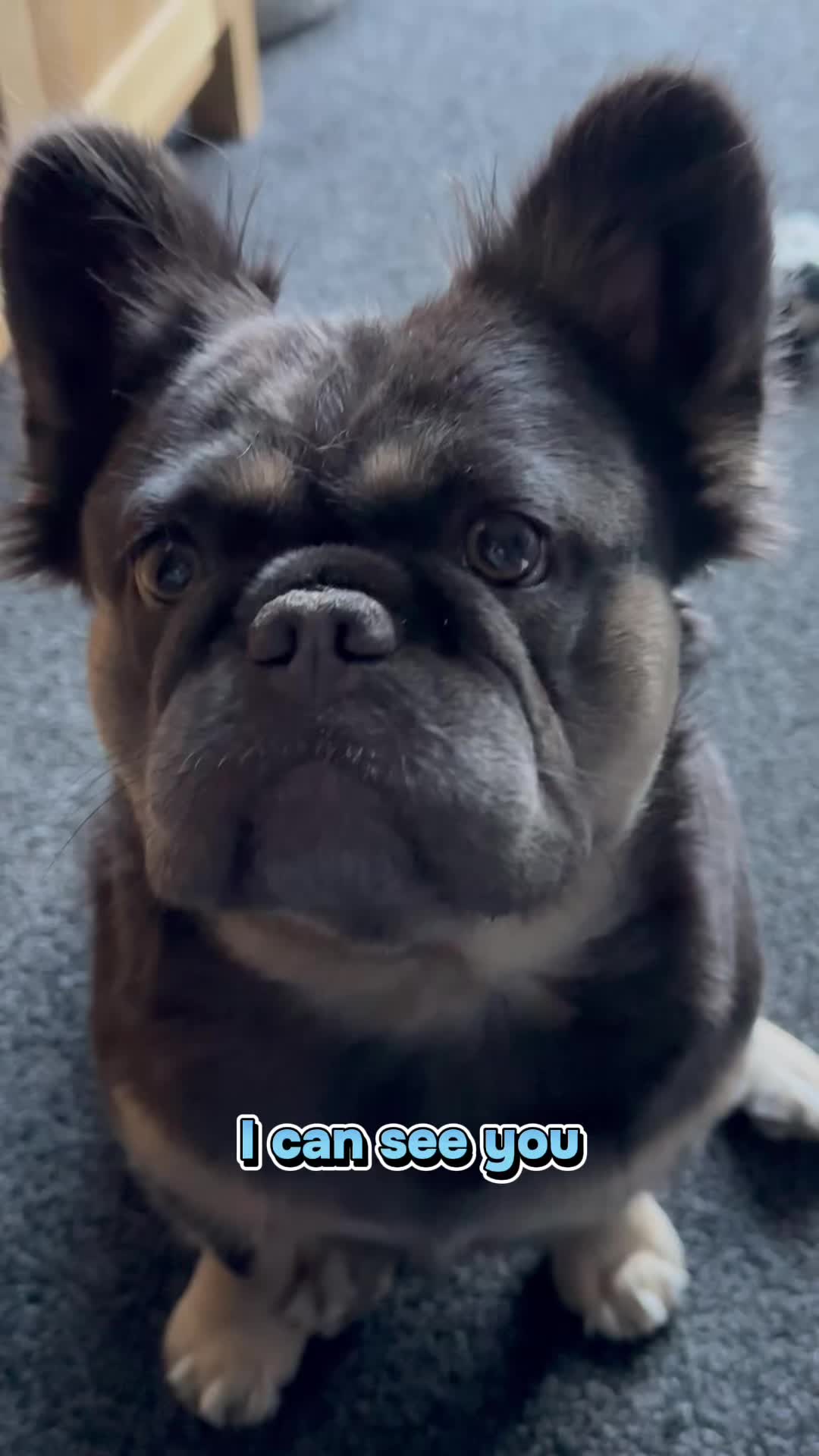 @Popstar