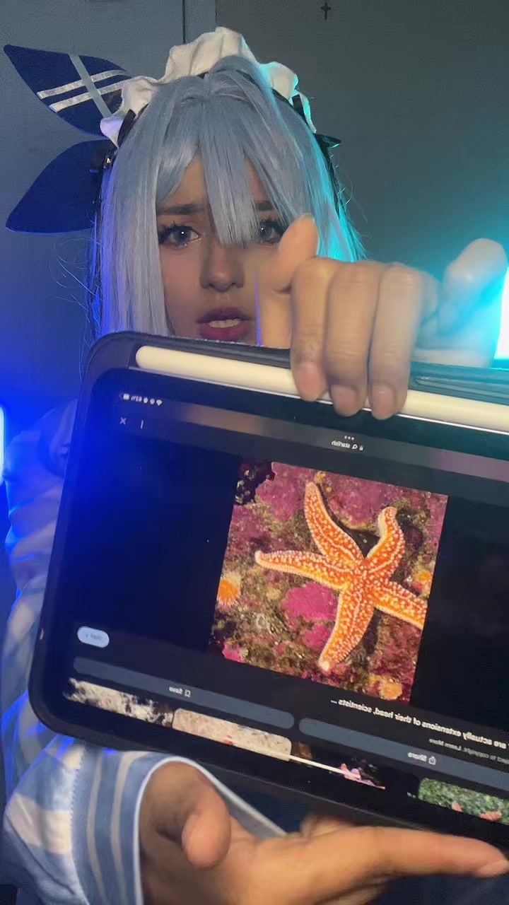 @MAR⋆˚࿔